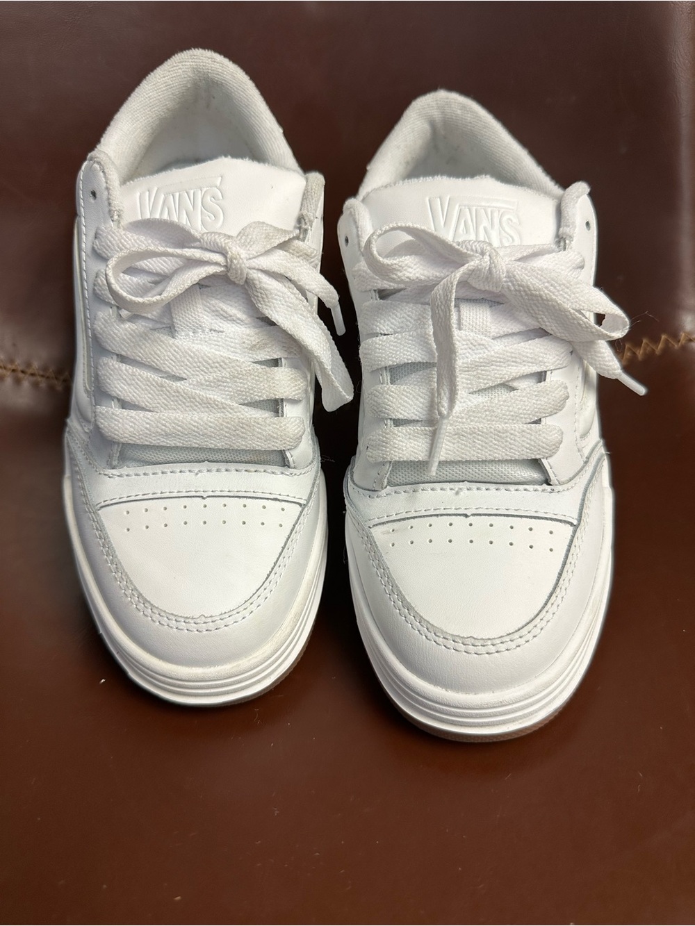 Vans Hylane Sneakers